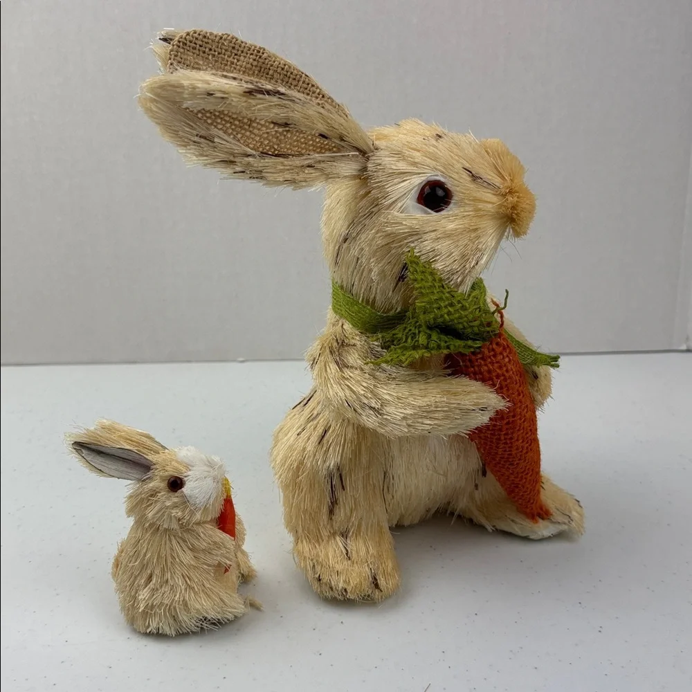 Adorable Tan and Orange Bunny Plush Set